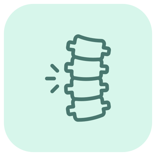 columna-vertebral (1)